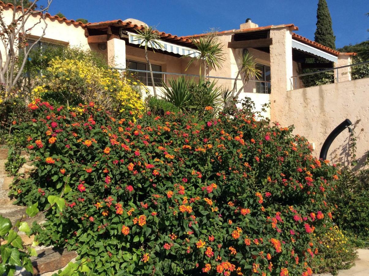 Villa Du Bau Rouge Carqueiranne Exterior photo